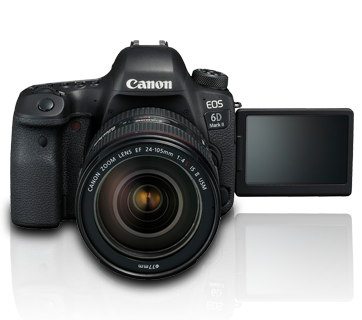 EOS 6D MK II (24-105)-l2.png